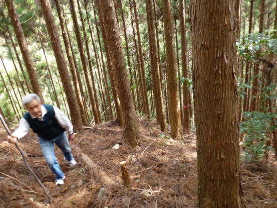 20110315木地市レール跡?