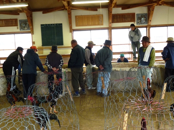 20110320安田川ウォーク?