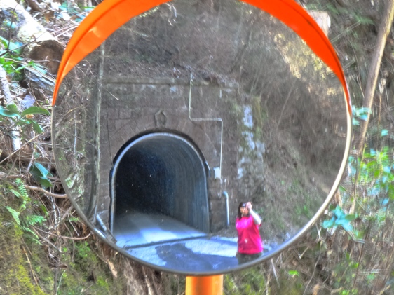 河口隧道20110405春