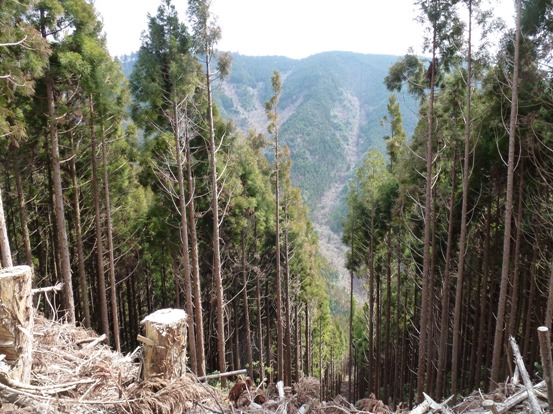 20110315木地市レール跡?