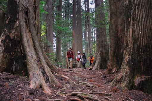 H22山の日撮影会?