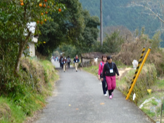 20110320安田川ウォーク?