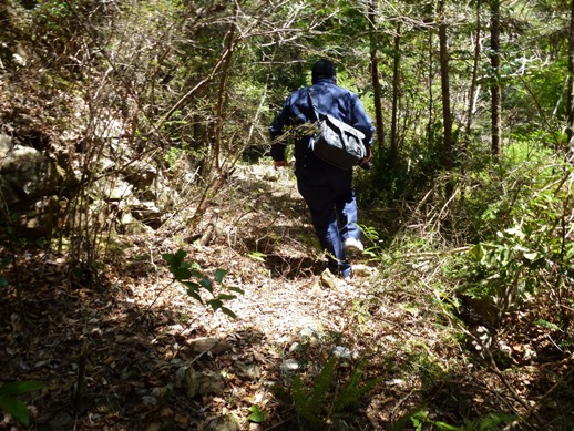 泉橋鑑識ブログ