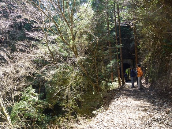 雁巻の隧道北側ブログ
