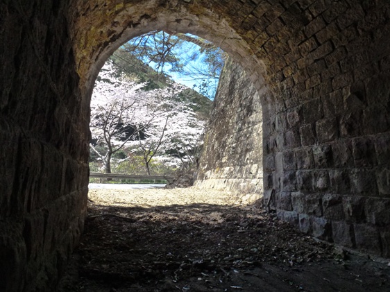 平瀬隧道20110405春