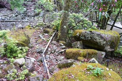 右奥に見える線もレールです。