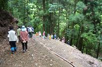 今度はすぐ近く