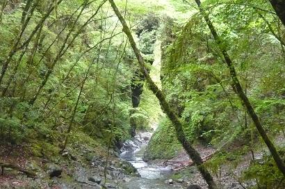 上流側からの景観