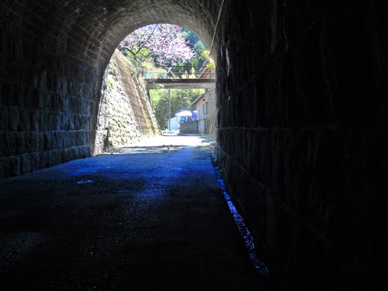 河口隧道20110405春?