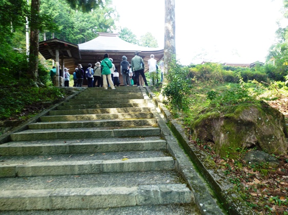 20111008森歩金林寺