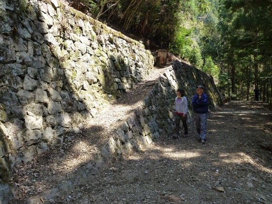 雁巻の軌道跡ブログ