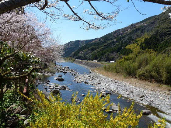 大心劇場南側安田川